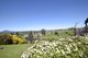 Photo - 67 West Barrack St , Deloraine TAS 7304 - Image 1