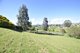 Photo - 67 West Barrack St , Deloraine TAS 7304 - Image 7