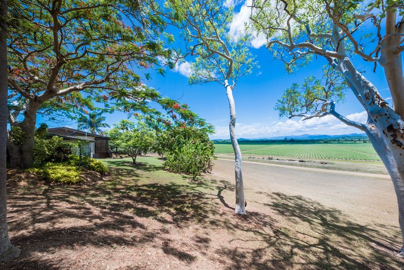 Photo - 670 Maloney Road, Proserpine QLD 4800 - Image 9