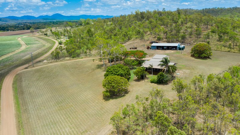 Photo - 670 Maloney Road, Proserpine QLD 4800 - Image 10