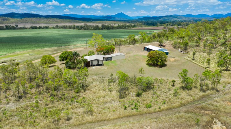 Photo - 670 Maloney Road, Proserpine QLD 4800 - Image 21