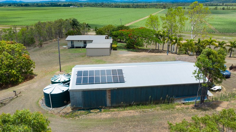 Photo - 670 Maloney Road, Proserpine QLD 4800 - Image 22