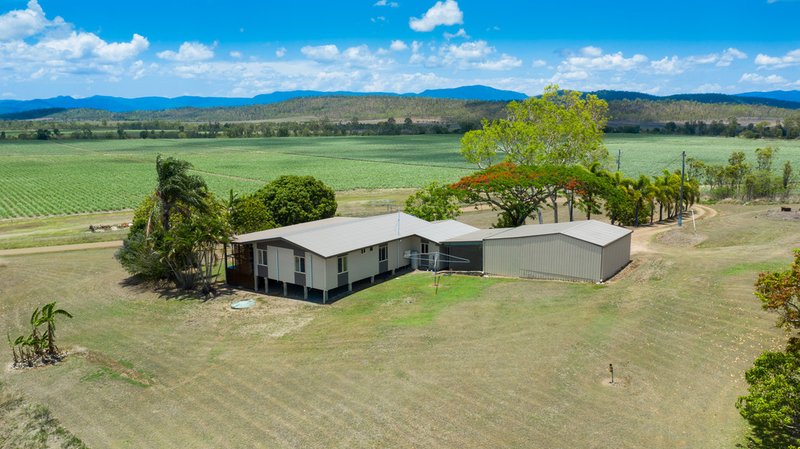 Photo - 670 Maloney Road, Proserpine QLD 4800 - Image 24