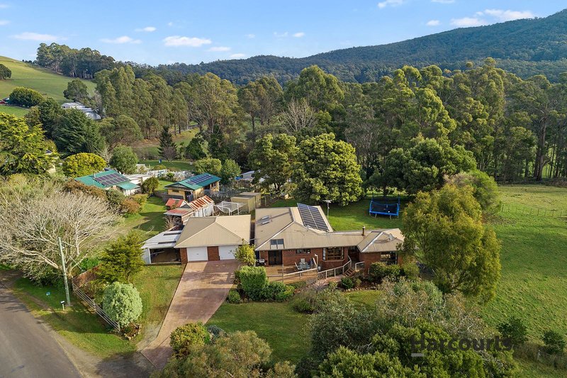 Photo - 670 Melrose Road, Melrose TAS 7310 - Image 3