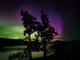 Photo - 6703 Channel Highway, Deep Bay TAS 7112 - Image 27