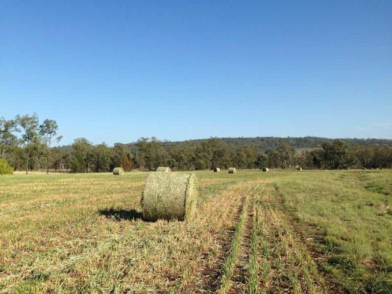 Photo - 671 Oregon Road, Warialda NSW 2402 - Image 3