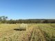 Photo - 671 Oregon Road, Warialda NSW 2402 - Image 3