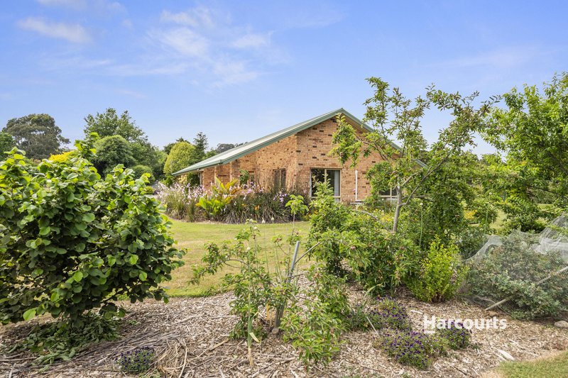 Photo - 673 Forth Road, Forth TAS 7310 - Image 16