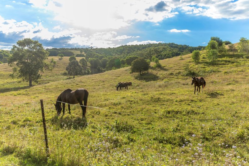 Photo - 674 Kandanga Creek Rd Road, Kandanga Creek QLD 4570 - Image 13