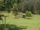 Photo - 674 Kumbia Road, Ellesmere QLD 4610 - Image 14