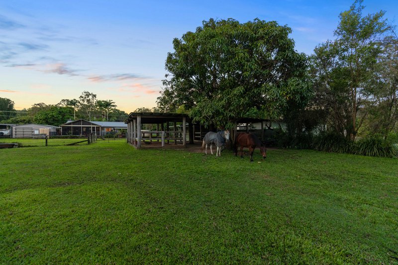 Photo - 677 Glenview Road, Glenview QLD 4553 - Image 21