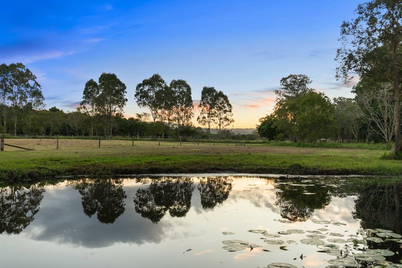 Photo - 677 Glenview Road, Glenview QLD 4553 - Image 22