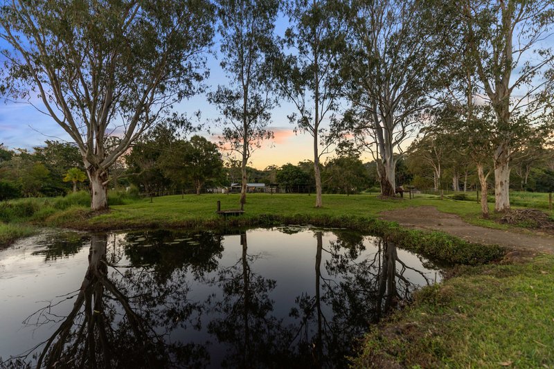 Photo - 677 Glenview Road, Glenview QLD 4553 - Image 24