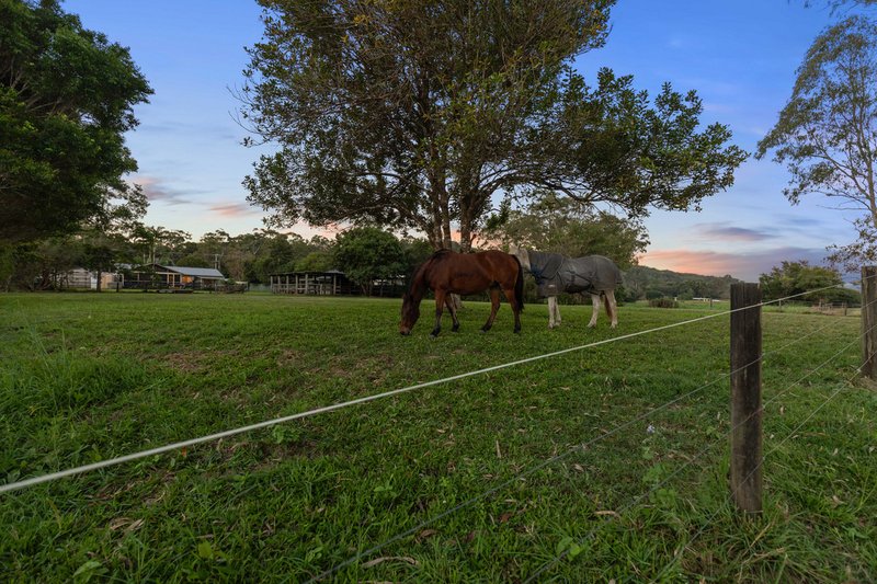 Photo - 677 Glenview Road, Glenview QLD 4553 - Image 25