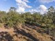 Photo - 678 Coast Road, Baffle Creek QLD 4674 - Image 17