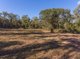 Photo - 678 Coast Road, Baffle Creek QLD 4674 - Image 20