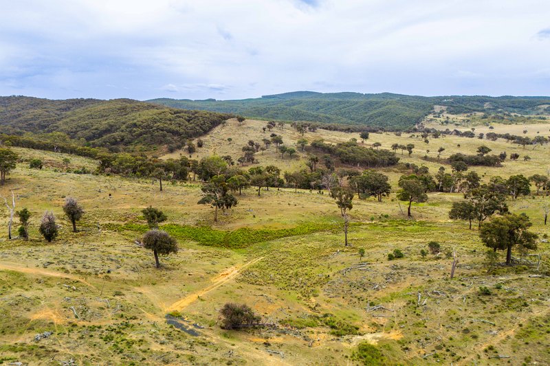 Photo - 678 Dry Creek Road, Lewis Ponds NSW 2800 - Image 2