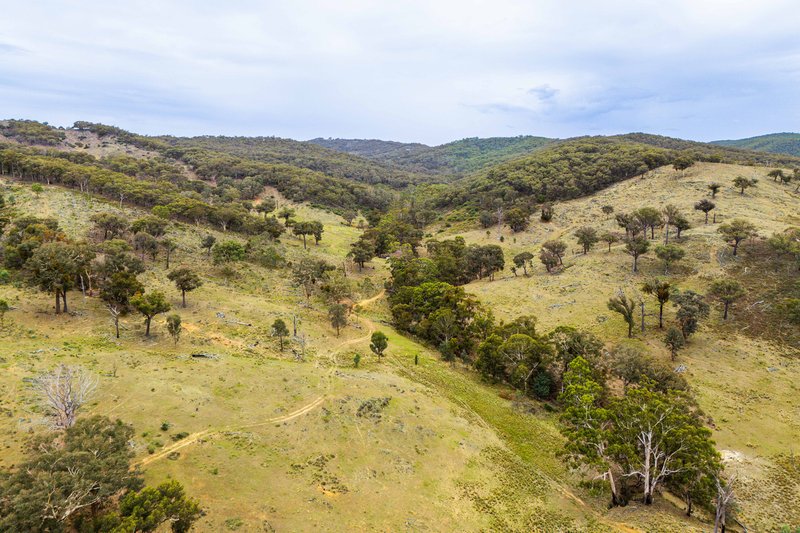 Photo - 678 Dry Creek Road, Lewis Ponds NSW 2800 - Image 5