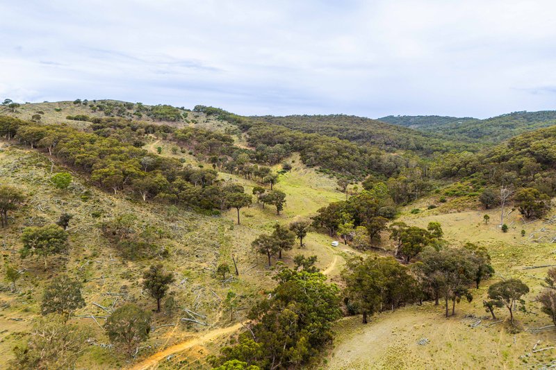 Photo - 678 Dry Creek Road, Lewis Ponds NSW 2800 - Image 6