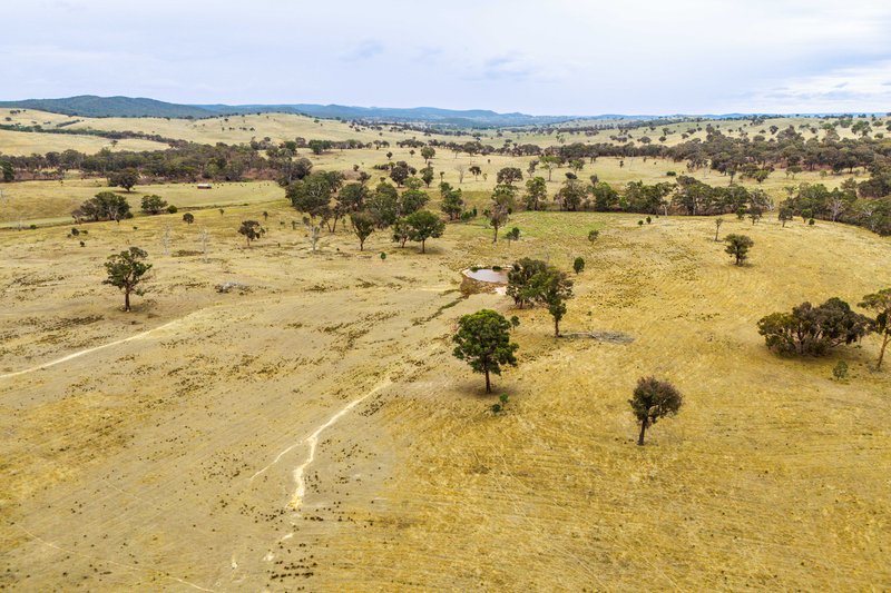 Photo - 678 Dry Creek Road, Lewis Ponds NSW 2800 - Image 13