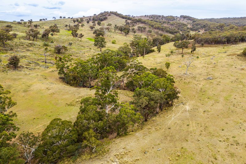 Photo - 678 Dry Creek Road, Lewis Ponds NSW 2800 - Image 15