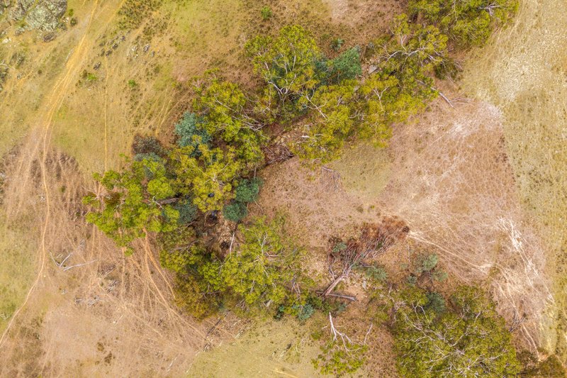 Photo - 678 Dry Creek Road, Lewis Ponds NSW 2800 - Image 16