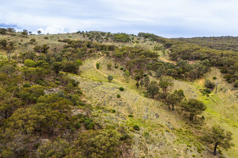 Photo - 678 Dry Creek Road, Lewis Ponds NSW 2800 - Image 21