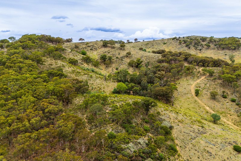 Photo - 678 Dry Creek Road, Lewis Ponds NSW 2800 - Image 22