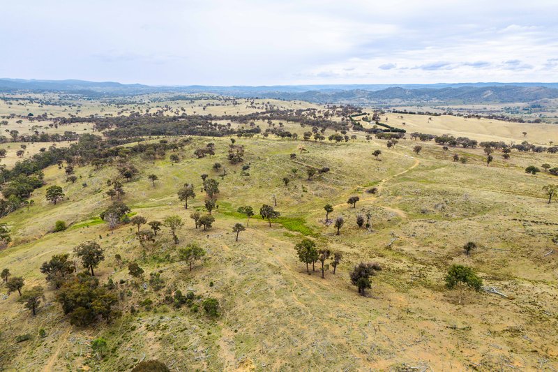 Photo - 678 Dry Creek Road, Lewis Ponds NSW 2800 - Image 24