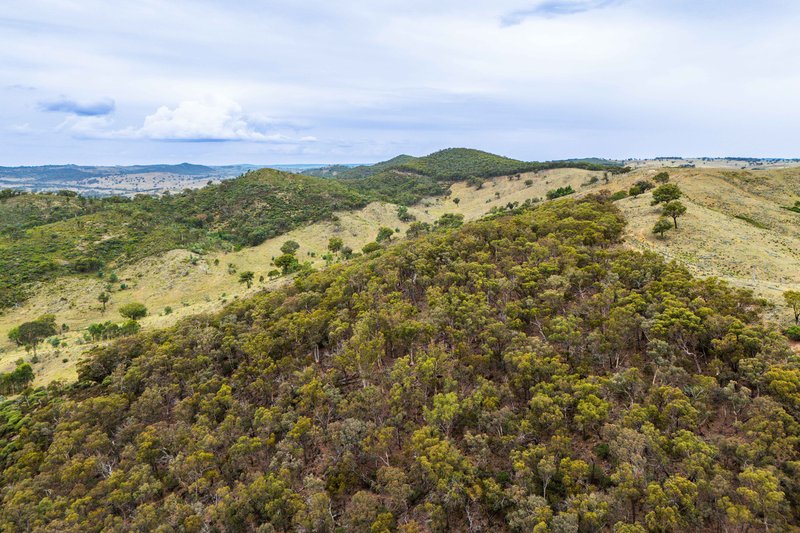 Photo - 678 Dry Creek Road, Lewis Ponds NSW 2800 - Image 29