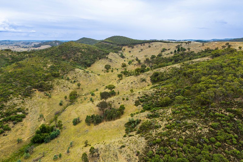 Photo - 678 Dry Creek Road, Lewis Ponds NSW 2800 - Image 30