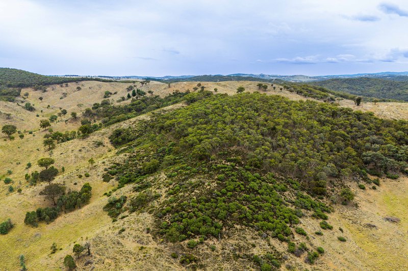 Photo - 678 Dry Creek Road, Lewis Ponds NSW 2800 - Image 31