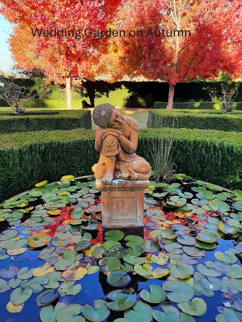 Photo - 678 Piries-Goughs Bay Road, Goughs Bay VIC 3723 - Image 9