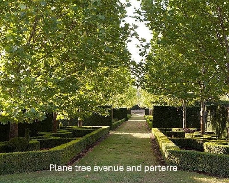 Photo - 678 Piries-Goughs Bay Road, Goughs Bay VIC 3723 - Image 11