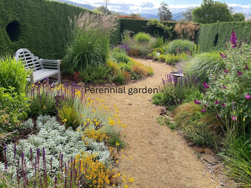 Photo - 678 Piries-Goughs Bay Road, Goughs Bay VIC 3723 - Image 25