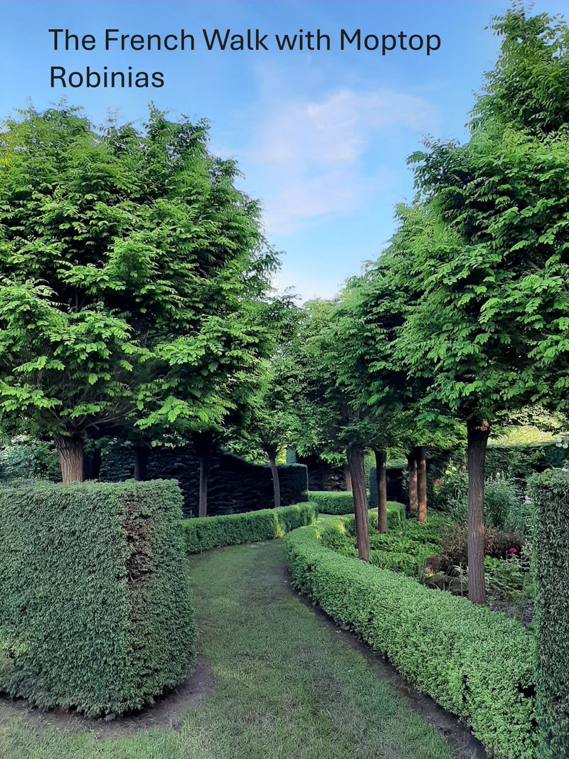 Photo - 678 Piries-Goughs Bay Road, Goughs Bay VIC 3723 - Image 26