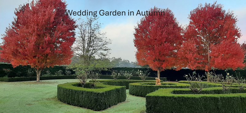 Photo - 678 Piries-Goughs Bay Road, Goughs Bay VIC 3723 - Image 33