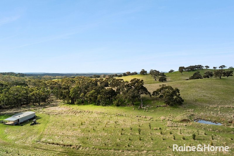 Photo - 679 Dallistons Road, Barfold VIC 3444 - Image 3