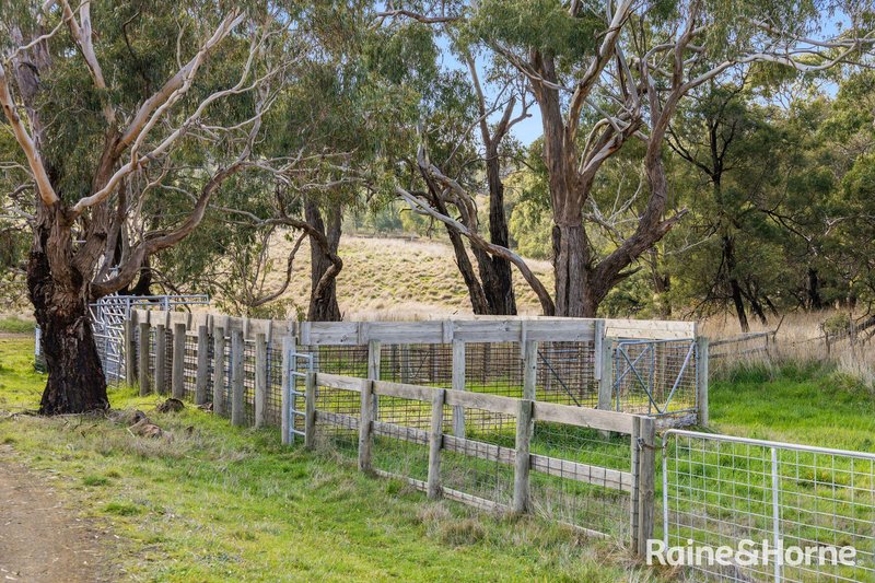 Photo - 679 Dallistons Road, Barfold VIC 3444 - Image 6