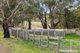 Photo - 679 Dallistons Road, Barfold VIC 3444 - Image 6