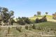 Photo - 679 Dallistons Road, Barfold VIC 3444 - Image 9