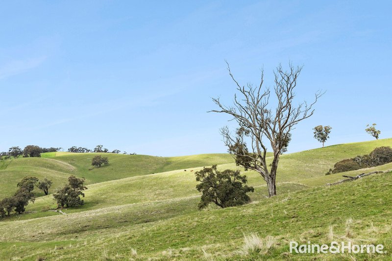 Photo - 679 Dallistons Road, Barfold VIC 3444 - Image 11