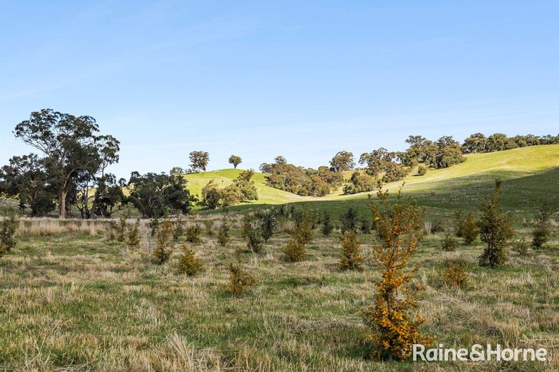 Photo - 679 Dallistons Road, Barfold VIC 3444 - Image 12