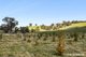 Photo - 679 Dallistons Road, Barfold VIC 3444 - Image 12