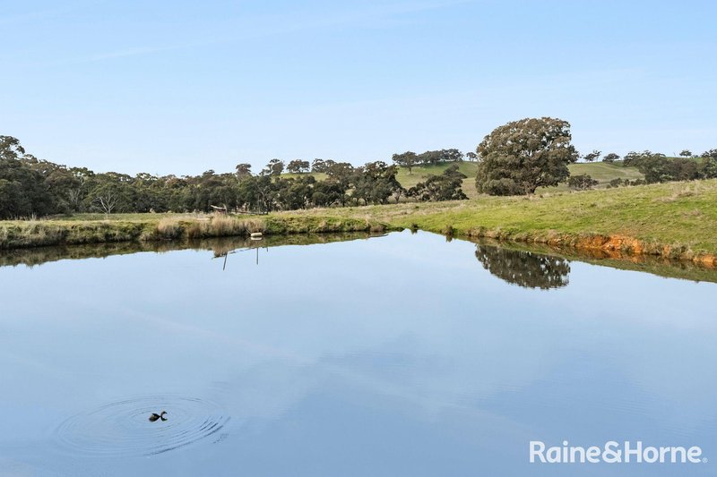 Photo - 679 Dallistons Road, Barfold VIC 3444 - Image 13