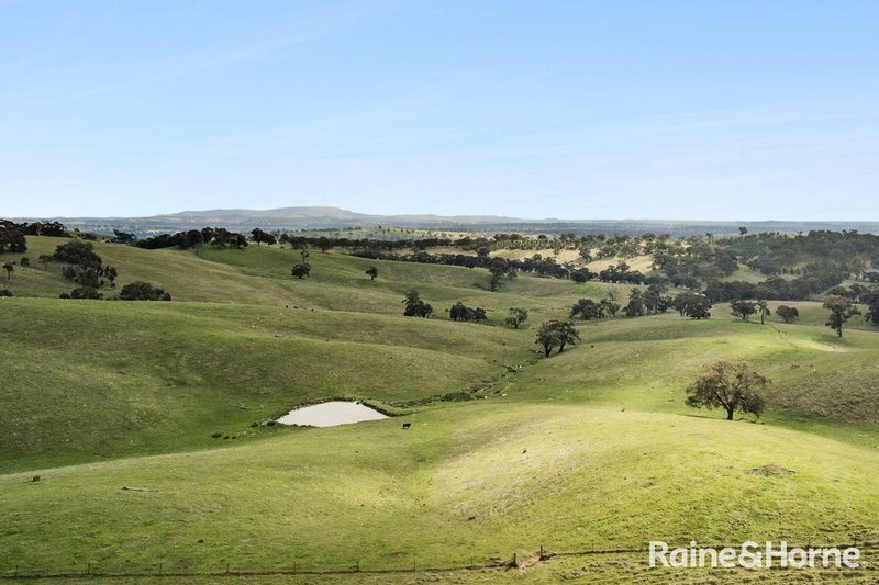 Photo - 679 Dallistons Road, Barfold VIC 3444 - Image 15