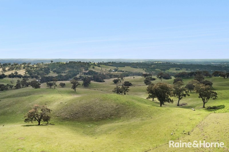 Photo - 679 Dallistons Road, Barfold VIC 3444 - Image 16