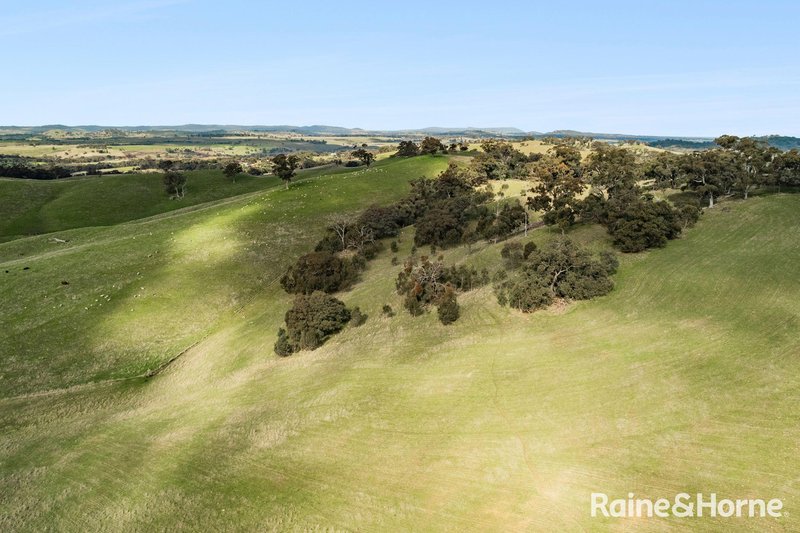 Photo - 679 Dallistons Road, Barfold VIC 3444 - Image 18