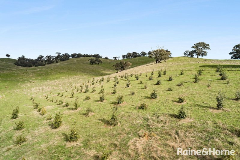 Photo - 679 Dallistons Road, Barfold VIC 3444 - Image 19