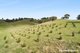 Photo - 679 Dallistons Road, Barfold VIC 3444 - Image 19